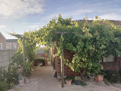 3 Bedroom Property for Sale in Vredelust Western Cape
